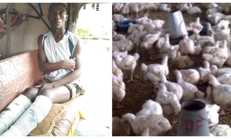 Police ‘Torture’ 2 to Death Over Theft Of 7 Chickens in Bauchi