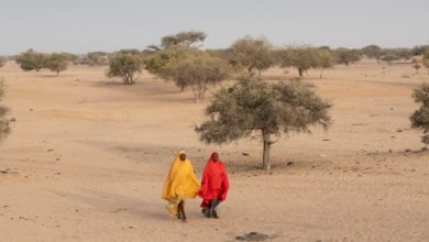 Environmental Preservation Is Affair Of Everyone, Says Chadian Environment Minister