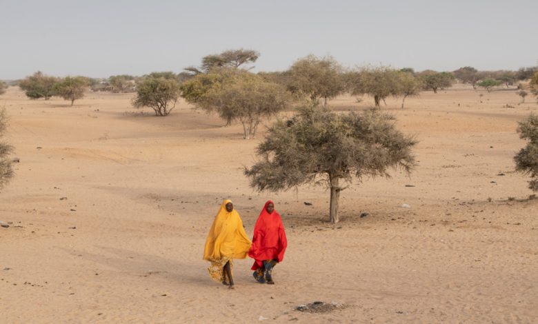 Environmental Preservation Is Affair Of Everyone, Says Chadian Environment Minister