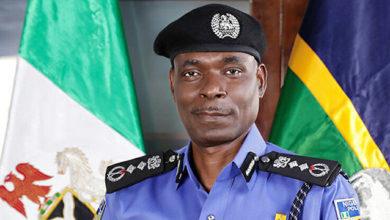 Serial Killer: IGP Warns Against Complacency Among Police Personnel