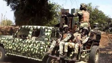 Niger Frees 11 Boko Haram Hostages