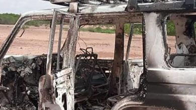 Terrorists Kill 8 In Niger Republic