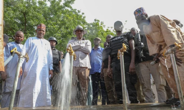 Borno Govt Confirms Ambush, Offers Sympathies To Bereaved Families