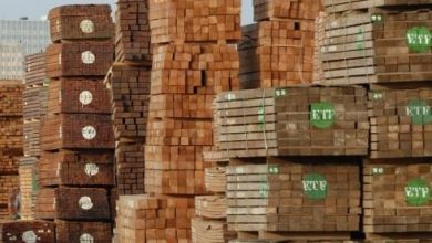 Cameroon Customs Launches Operation Against Fake Timber Export