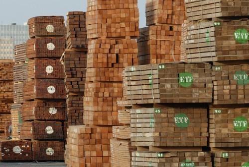 Cameroon Customs Launches Operation Against Fake Timber Export