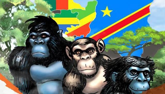 Conservationists Hold Forum On Protection Of “Big Monkeys” In Cameroon And Congo