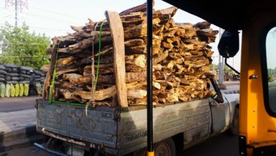 Faced With Insurgency, Firewood Sellers in Borno Opt For New And Green Livelihood
