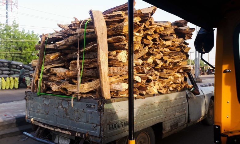 Faced With Insurgency, Firewood Sellers in Borno Opt For New And Green Livelihood