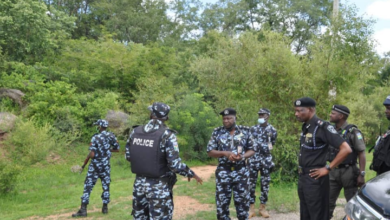 Fear As Terrorists Invade Falgore Forest In Kano
