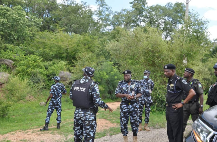 Fear As Terrorists Invade Falgore Forest In Kano