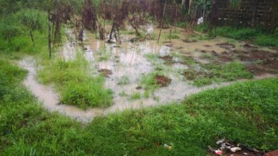 Flood Displaces 1, 000, Washes Away Farmlands In Anambra