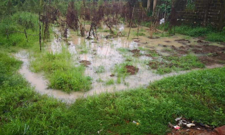 Flood Displaces 1, 000, Washes Away Farmlands In Anambra