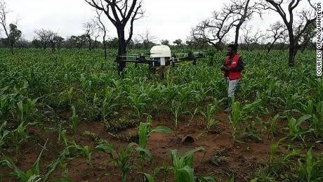 Microsoft to Support Agri-tech and Smart Farming in Nigeria