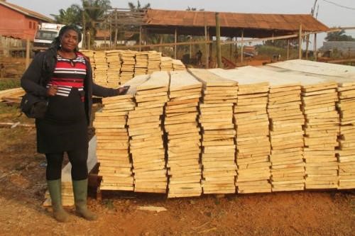 United Nations FAO Boost Cameroon’s Small Timber Businesses To Discourage Illegal Trade