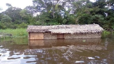 2 Dead, 73 Villages Flooded In Congon Brazzaville