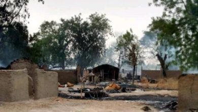 3 Killed, Many Abducted As Boko Haram Attacks Increase In Cameroon