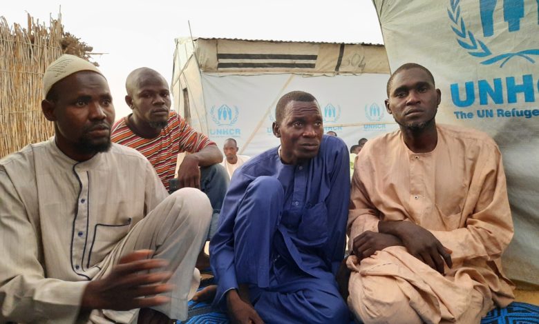 Borno IDPs Raise Alarm Over Delay, Irregularities In Food Supply