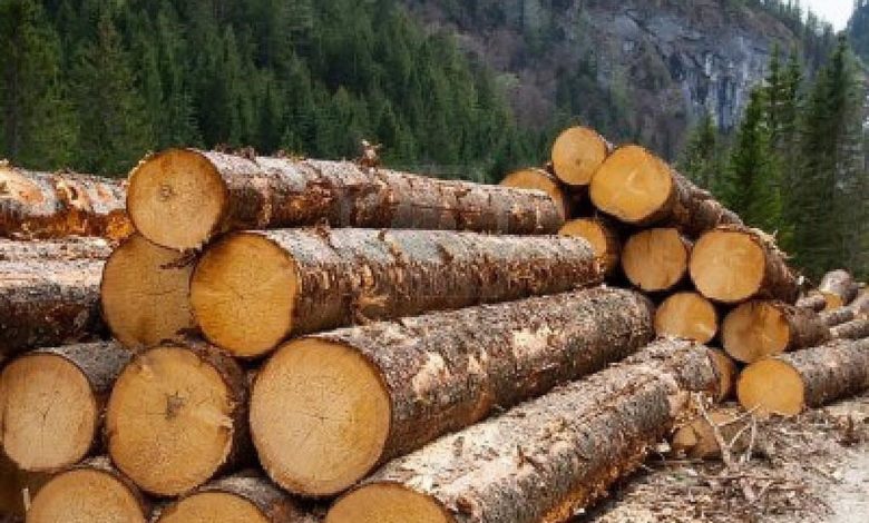 Cameroon To Increase Duty On Timber Products To Discourage Importation