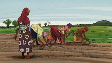 Int’l Day of #RuralWomen: The Invisible Pillars Of Society