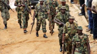 Terrorism: Nigerian Army Consults Neighbours