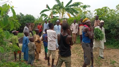 Farmers Pay ‘Harvest Fees’ To Terrorists in Zamfara State as Famine Looms Over Northern Nigeria