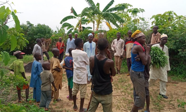 Farmers Pay ‘Harvest Fees’ To Terrorists in Zamfara State as Famine Looms Over Northern Nigeria