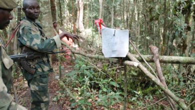 ADF Fighters Kill Seven In DR Congo
