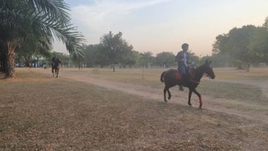 Abuja Park Threatened By Activities Of Horse Riding Youths, Motorists