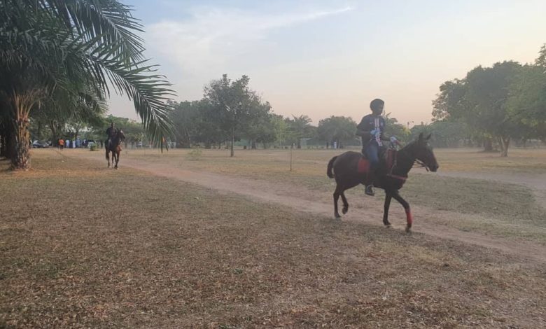 Abuja Park Threatened By Activities Of Horse Riding Youths, Motorists