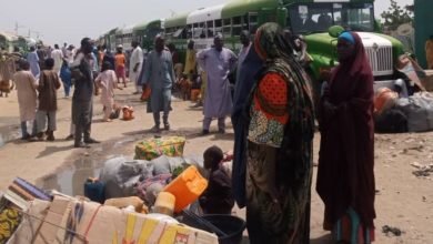 Borno IDPs Returning Home Amid Safety Concerns