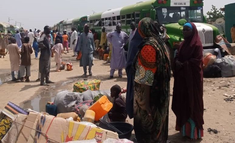 Borno IDPs Returning Home Amid Safety Concerns