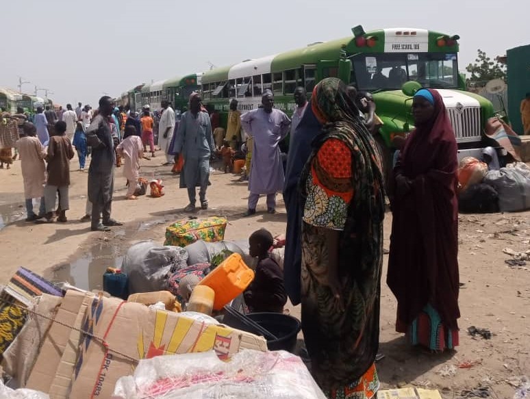 Borno IDPs Returning Home Amid Safety Concerns - HumAngle