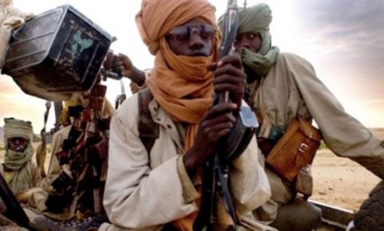New Roadmap For Peace In Northern Mali Adopted