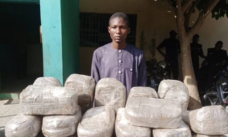 Police Apprehend Man, Mother With 49 Packages Of Indian Hemps In Kano