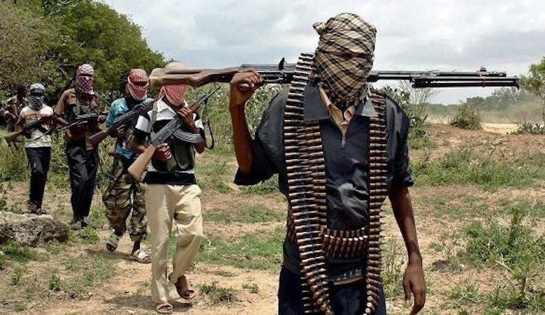 Terrorists Kill Eleven Persons in Fresh Attack on Kaduna Village