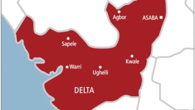 Delta State Map