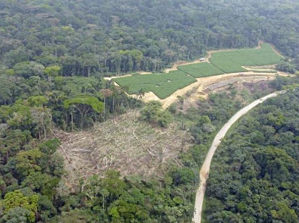 Cameroon Signs Accord To Restore 12 Million Hectares Of Degenerated Landscapes By 2030