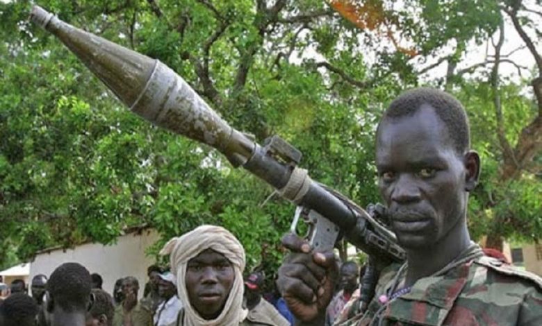 Central African Republic 3R Rebels Abduct 3 Cameroon Gendarmes, Demand 45 Million FCFA