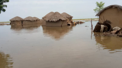 Floods In Far North Cameroon Kill Over 64, Displace 160,000