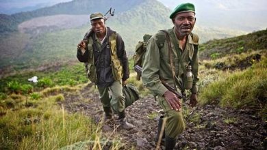 Four Dead, Five Wounded As Pygmies, DR Congo Army Clash