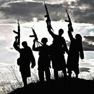 Village Head Missing, 2 Dead After Terrorists Attack Dantankari In Katsina