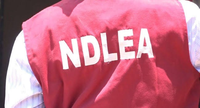 NDLEA Intercepts 9.075kg Illicit Drugs, Arrests Over 1,000 Suspected Traffickers