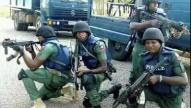 Nigeria Police Force To establish 10 Mopol Units in Katsina State