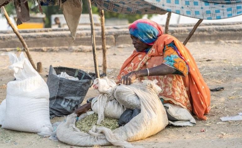 Older IDPs Neglected, Need Improvement – Report