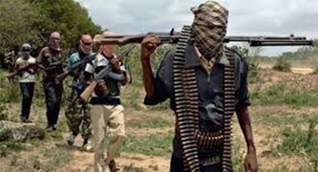 Terrorists Kill Five, Abduct Five Others In Zamfara