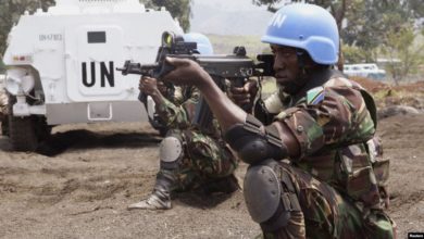UN Security Council Extends Mandate Of Forces In DR Congo By Another Year