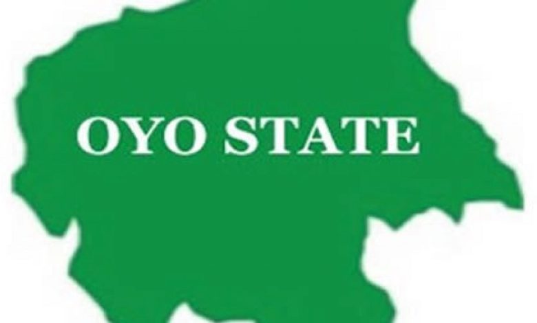 11 Days After Abduction, Oyo Lawmaker's Sister Regains Freedom