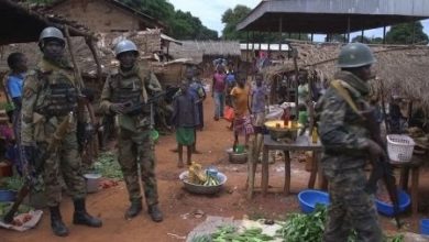 Central African Rebels Continue To Capture Towns After Disputed Elections
