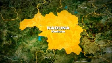 Armed Group Abducts 21 In Kaduna But Govt Claims Only Two Were Abducted