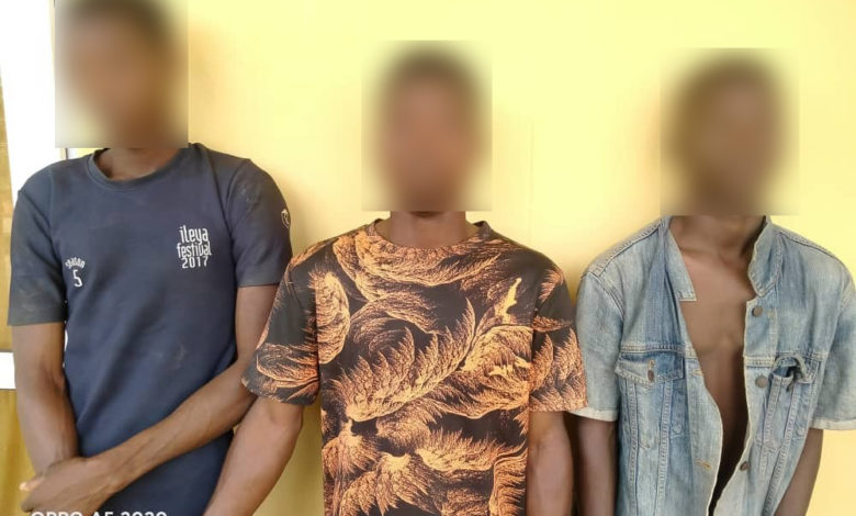 Police Arrest 3 Brothers For Murder In Ogun